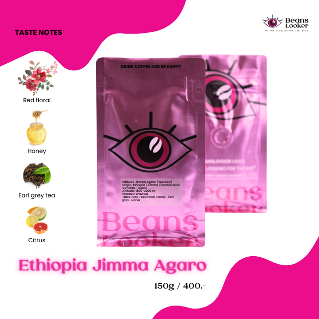 Ethiopia Jimma Agaro กาแฟเอธิโอเปียสายพันธุ์ใหม่