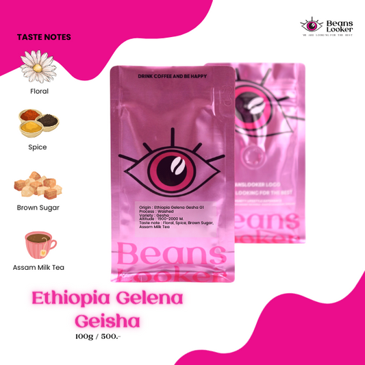 Ethiopia Gelena geisha